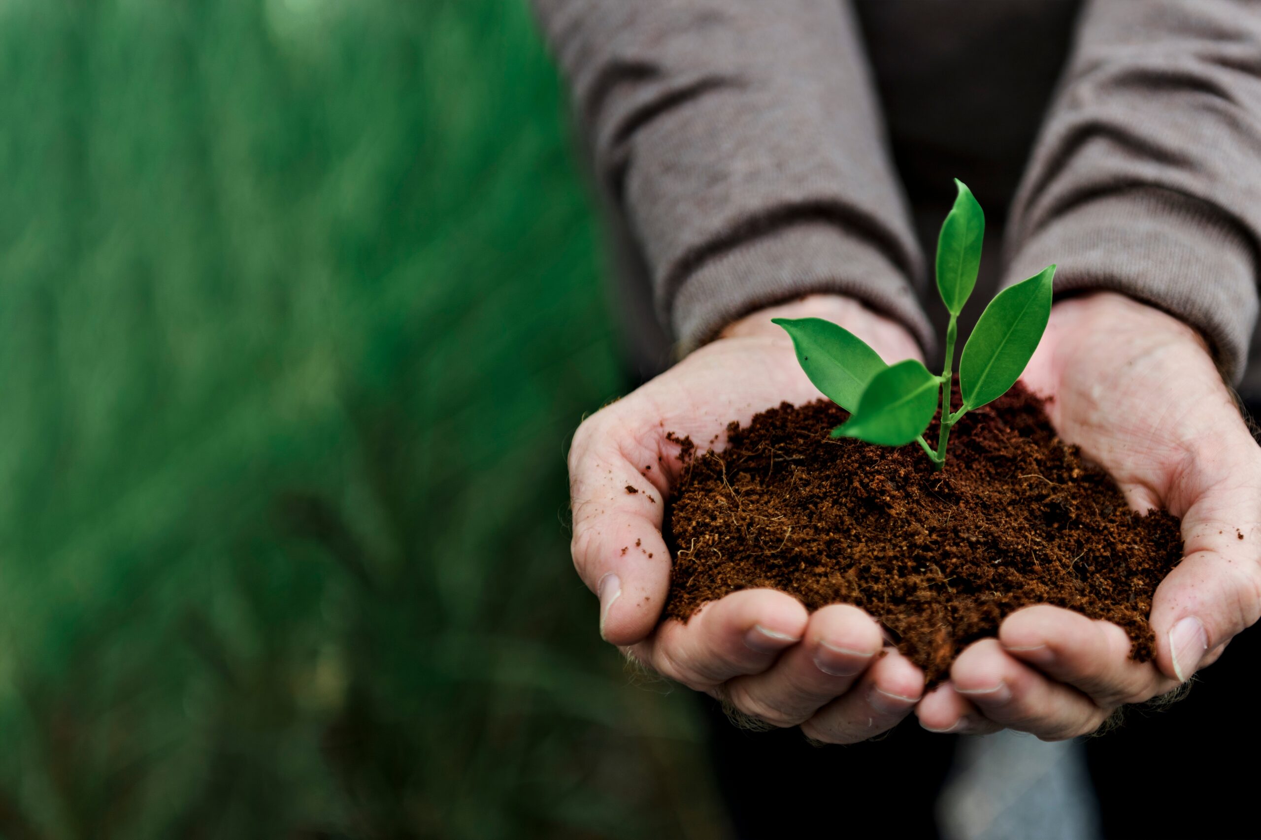 Kraftora Sustainability